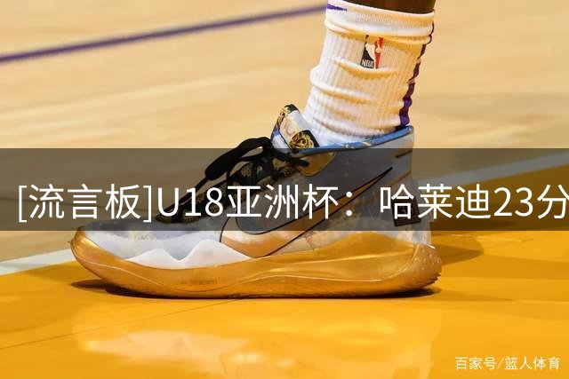 [流言板]U18亚洲杯：哈莱迪23分，伊朗U18男篮83-66战胜印度U18男篮